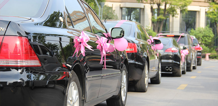 Cars decorated with pink ribbons